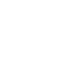 Musculoskeletal 